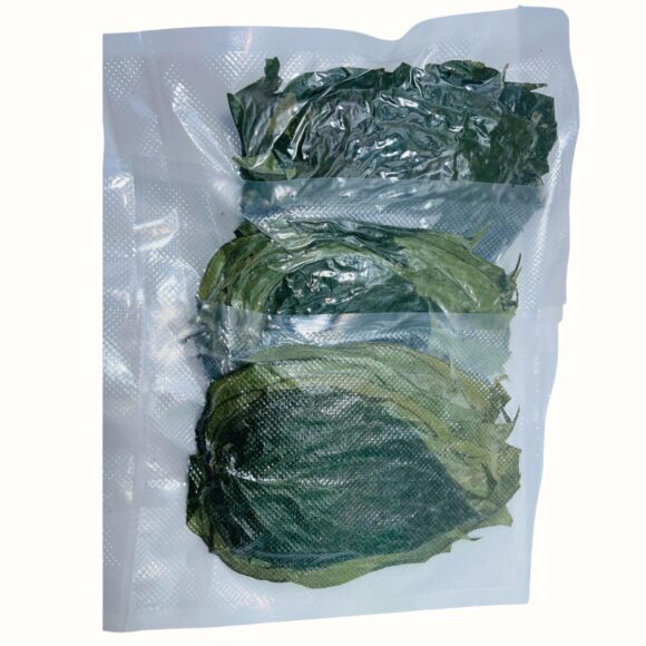 Dried Betel Leaves Piper Betel Rare Herbs 7 580x580