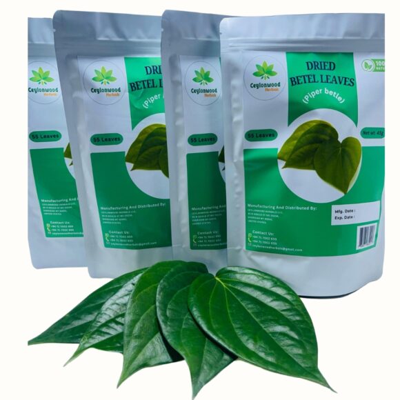 Dried Betel Leaves Piper Betel Rare Herbs 8 580x580